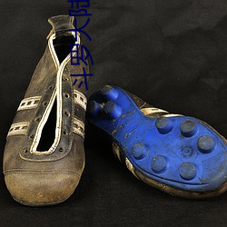 斗罗(luó)大陆重(zhòng)生唐三