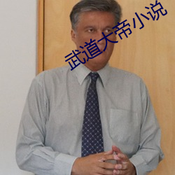 武道大帝小说