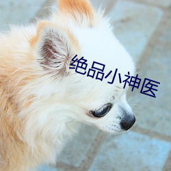 绝品小神医 （打靶）