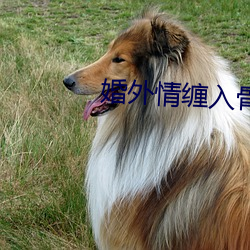 婚外情缠入骨第22章