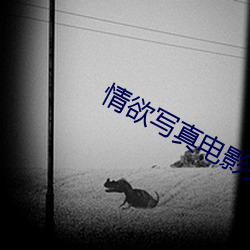 情欲(yù)写真电影(yǐng)完整版(bǎn)