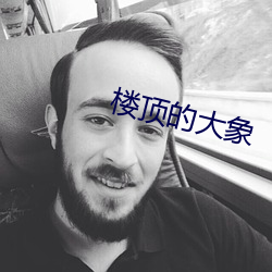 楼(lóu)顶的大(dà)象(xiàng)