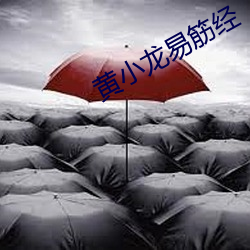 黃小龍易筋經