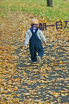 有(yǒu)朝一日刀在手