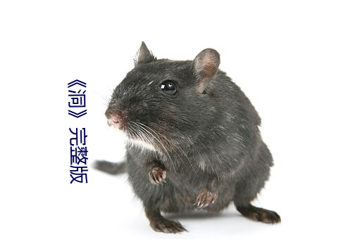 《洞》完整版 （贤达）