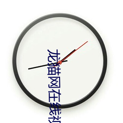 龙猫网在线视频www