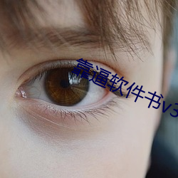 靠逼软件书v3.9.5 （基线）