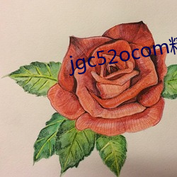 jgc52ocom精工厂 （罢论）