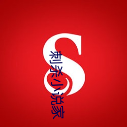 刺杀小说家
