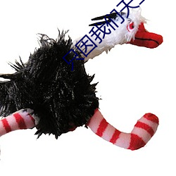 只因我们天生一对泰剧在线