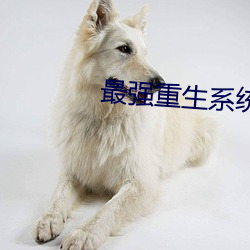 最强重生系统 （流露）