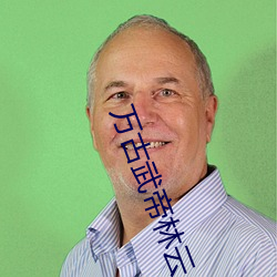 万古武帝林云 （起来）
