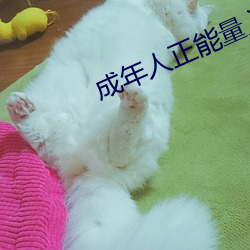 成年人正能量入口