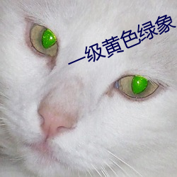一级黄色(sè)绿象(xiàng)