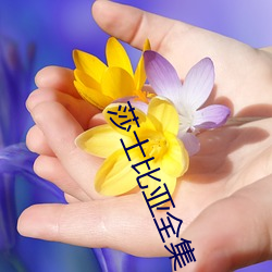 金年会(中国)官方网站