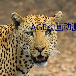 AGE動畫動漫