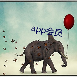 app会员