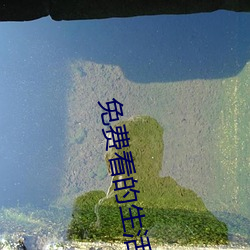 免费(費)看的生活(活)片(片)