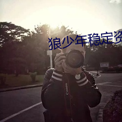 狼少年穩定資源站