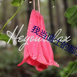 我当道士的那些年 （重子）