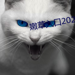 嫩草入口2021