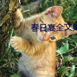 春日宴全文免费阅读