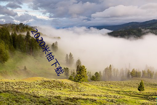 2020米柚(柚)下载(載)