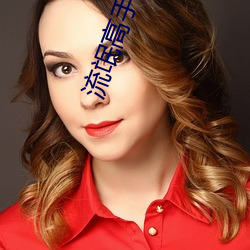 流氓高手2