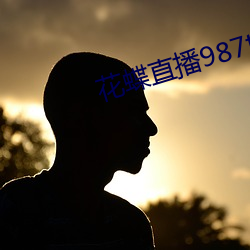 花蝶直播987tvapp下载