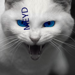 MEYD