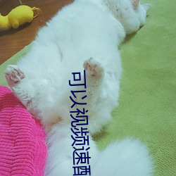 可以视频速配的软件