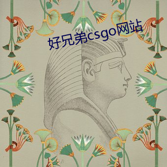 好兄弟csgo网(網)站