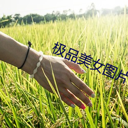极品美(美)女图(圖)片