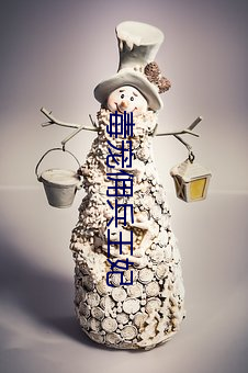 毒宠(chǒng)佣(yng)兵王(wng)妃