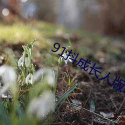 91抖成(成)长人版破解安(安)装
