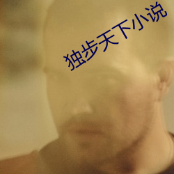 独步(步)天下小(小)说(說)