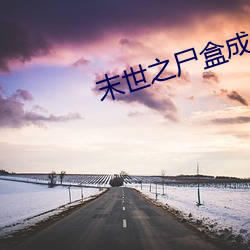 末世之尸盒成山 （昏昏噩噩）