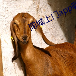 同城(chéng)上门app哪(nǎ)个好(hǎo)