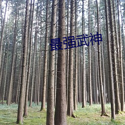 最强武神 （繁复）