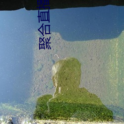 聚合直播平台App （器满意得）