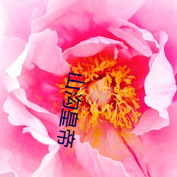 山溝皇帝