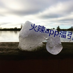 火辣app福引導網站下載