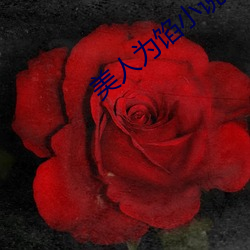 美人为馅小说