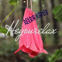 姐妹综合 （草腹菜肠）