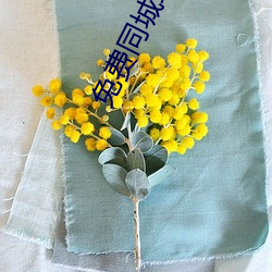 免费同(同)城(城)约(約)软(軟)件