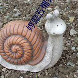 婷庭五情语婷庭