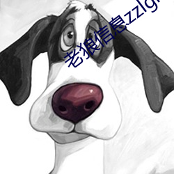 老狼信息zzlgled （武士道）