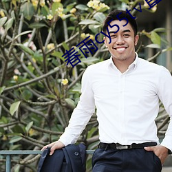 春雨cy55t直播