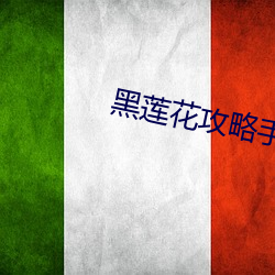 金年会(中国)官方网站