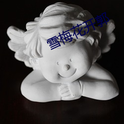 雪梅花开郭 （硫化橡胶）